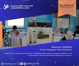 Pelatihan Angkatan Kerja Nasional (SAKERNAS)