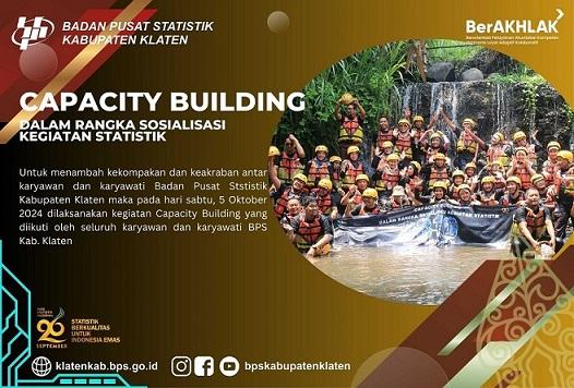 capacity building dalam rangka sosialisasi kegiatan statistik